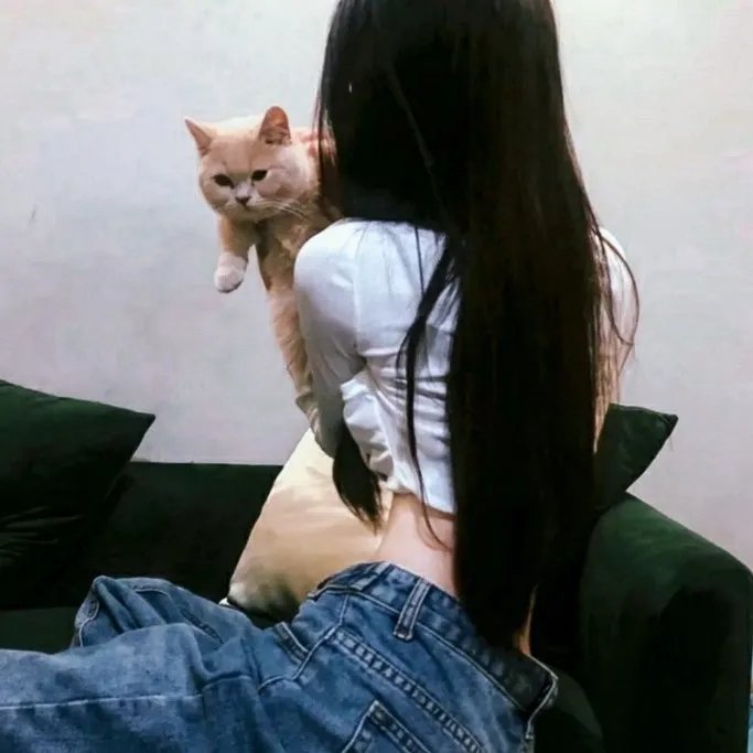 相敬如宾