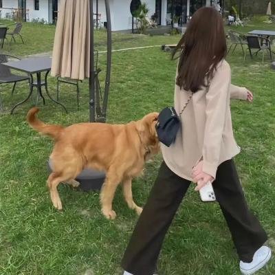 我们的逆青春